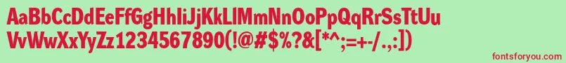 DynagroteskdmBold Font – Red Fonts on Green Background