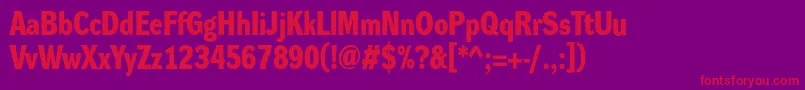 DynagroteskdmBold Font – Red Fonts on Purple Background