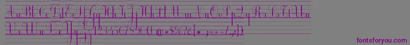 EcolierLignes Font – Purple Fonts on Gray Background