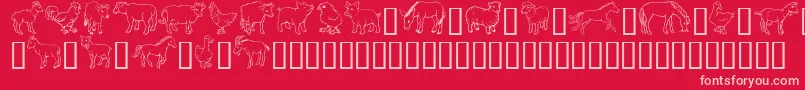fuente GeBarnyardFriends – Fuentes Rosadas Sobre Fondo Rojo