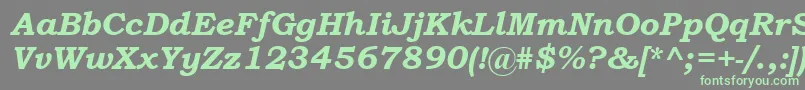 BookmanOldStyleBoldItalic Font – Green Fonts on Gray Background