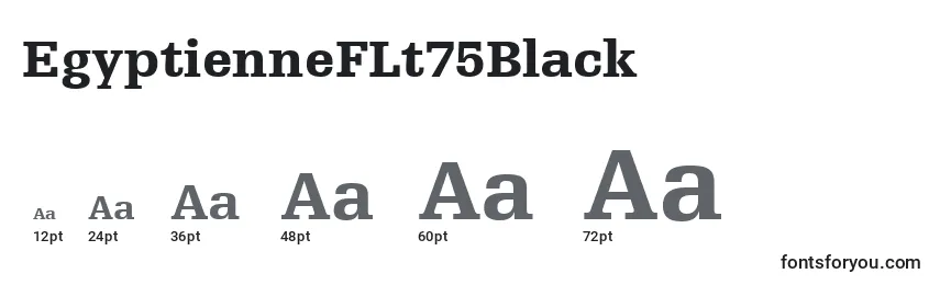 Размеры шрифта EgyptienneFLt75Black