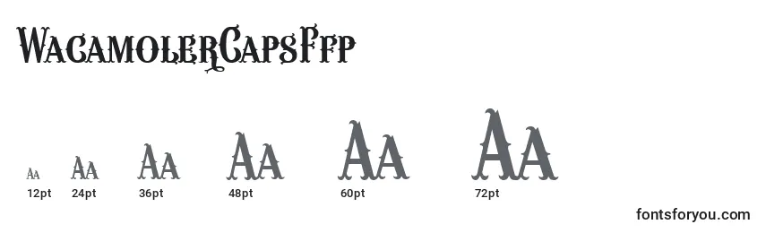 WacamolerCapsFfp Font Sizes