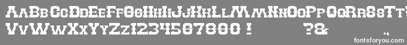 BillyTheKid Font – White Fonts on Gray Background