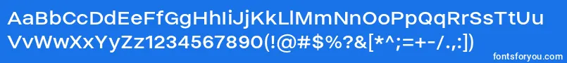 HelmetRegular Font – White Fonts on Blue Background