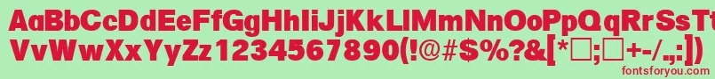 SalinadisplaysskRegular Font – Red Fonts on Green Background