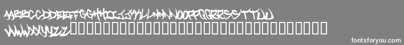 Welcometotexas Font – White Fonts on Gray Background