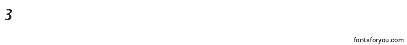 フォントStoneSansSemOsItcttSemiita – フォント数字3