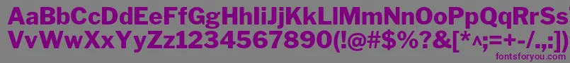 LibrefranklinExtrabold Font – Purple Fonts on Gray Background