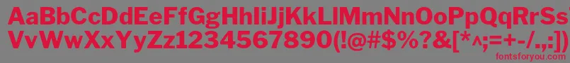 フォントLibrefranklinExtrabold – 赤い文字の灰色の背景