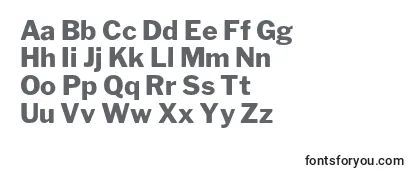Обзор шрифта LibrefranklinExtrabold