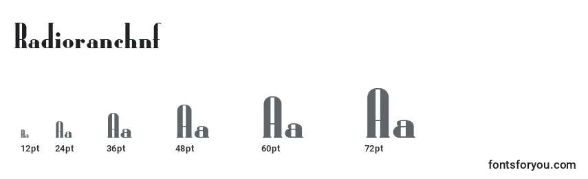 Размеры шрифта Radioranchnf (90515)