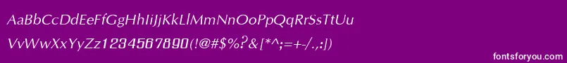 IrisupcItalic Font – White Fonts on Purple Background