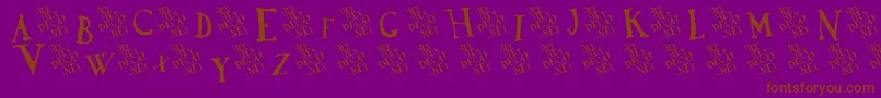 DadaAntiquerist Font – Brown Fonts on Purple Background