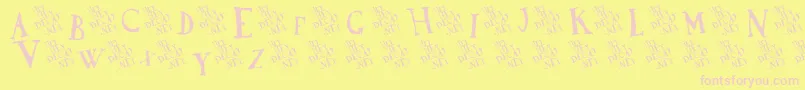 DadaAntiquerist Font – Pink Fonts on Yellow Background