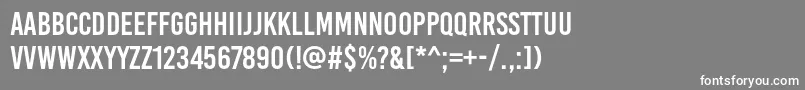 BebaskaiRegular Font – White Fonts on Gray Background