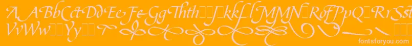 BibleScriptFlourishesLetPlain.1.0-Schriftart – Rosa Schriften auf orangefarbenem Hintergrund