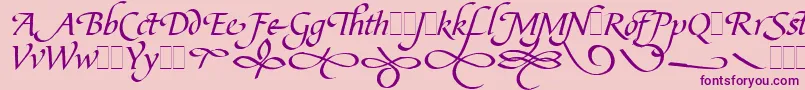 BibleScriptFlourishesLetPlain.1.0 Font – Purple Fonts on Pink Background