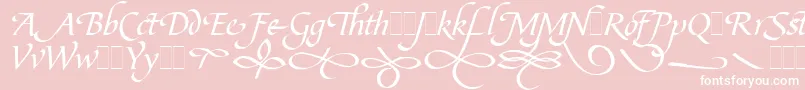 BibleScriptFlourishesLetPlain.1.0-Schriftart – Weiße Schriften auf rosa Hintergrund