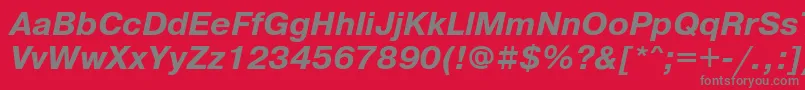 PragmaticamgttBolditalic Font – Gray Fonts on Red Background