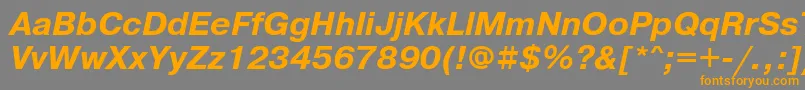 PragmaticamgttBolditalic Font – Orange Fonts on Gray Background