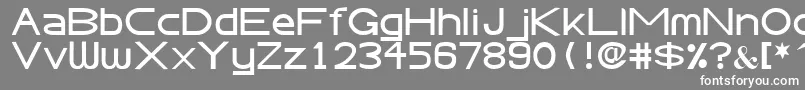 フォントAbteciaBasicSansSerifFont – 灰色の背景に白い文字