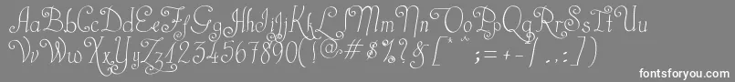 フォントCastalStreet – 灰色の背景に白い文字