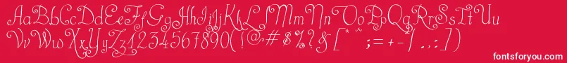 CastalStreet Font – White Fonts on Red Background