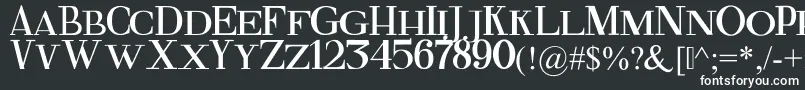 フォントFineSerif – 白い文字