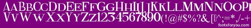 FineSerif Font – White Fonts on Purple Background