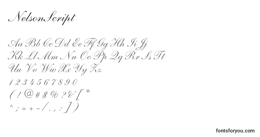 Czcionka NelsonScript – alfabet, cyfry, specjalne znaki