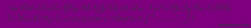 NelsonScript-Schriftart – Schwarze Schriften auf violettem Hintergrund