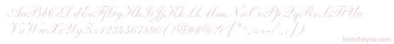 NelsonScript Font – Pink Fonts