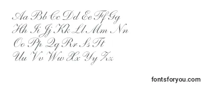 NelsonScript Font