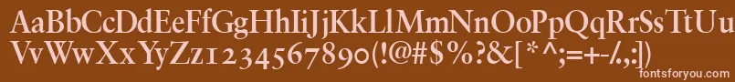 GaramondretrospectiveossskBold Font – Pink Fonts on Brown Background