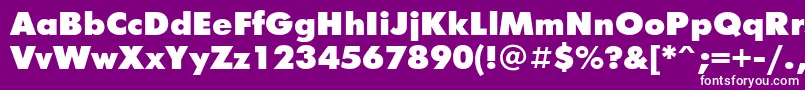 FuturisxcttNormal Font – White Fonts on Purple Background