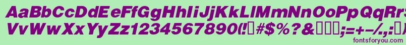 VivassskBolditalic Font – Purple Fonts on Green Background