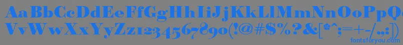 Paragonnordultraboldc Font – Blue Fonts on Gray Background