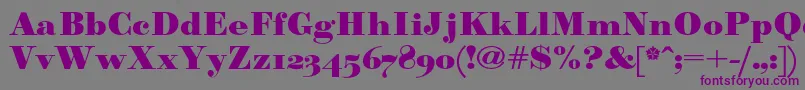 Paragonnordultraboldc Font – Purple Fonts on Gray Background