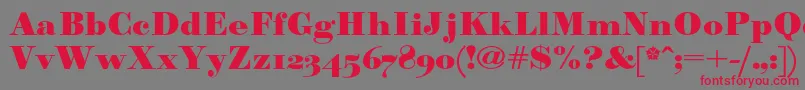 Paragonnordultraboldc Font – Red Fonts on Gray Background