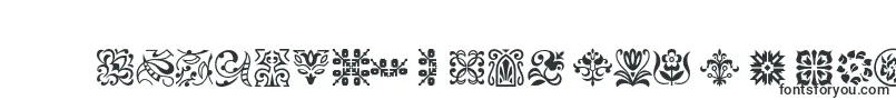 Ptornament Font – Fonts for Microsoft Office
