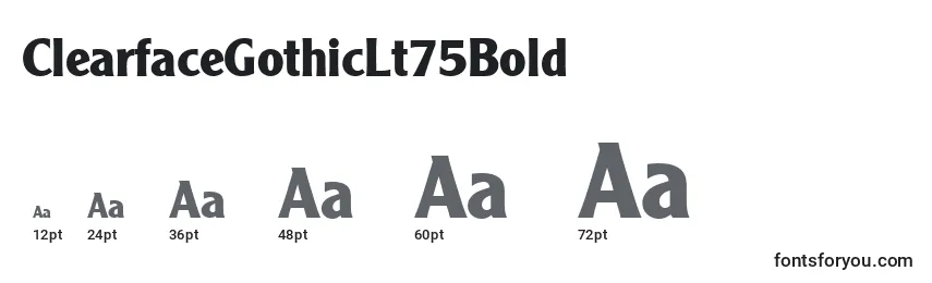 ClearfaceGothicLt75Bold Font Sizes