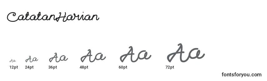 CatatanHarian Font Sizes