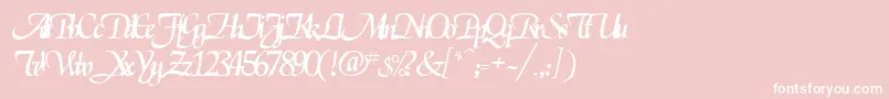 ElgarrettRegular-Schriftart – Weiße Schriften auf rosa Hintergrund