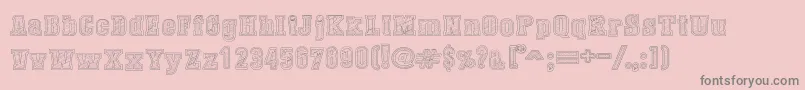 DustWestCollege Font – Gray Fonts on Pink Background
