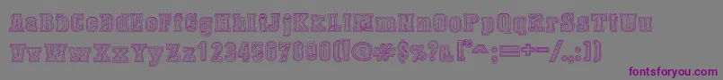 フォントDustWestCollege – 紫色のフォント、灰色の背景