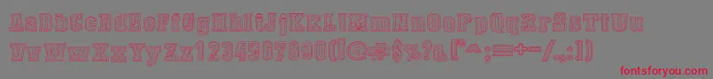 フォントDustWestCollege – 赤い文字の灰色の背景
