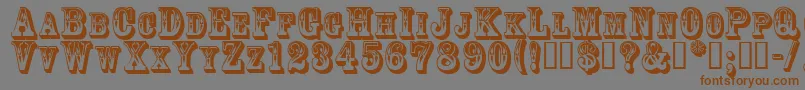 3Dgoldrush Font – Brown Fonts on Gray Background