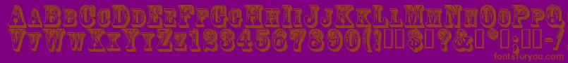 3Dgoldrush Font – Brown Fonts on Purple Background
