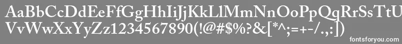 フォントAcaslonproSemibold – 灰色の背景に白い文字